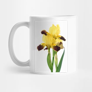 Untitled Mug